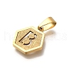 304 Stainless Steel Charms STAS-H227-01G-B-2