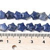 Natural Sodalite Star Beads Strands G-Z080-A09-5