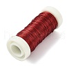 6 Rolls 6 Colors Baking Painted Iron Wire MW-K001-0.3mm-3