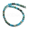 Dyed Natural Regalite/Imperial Jasper/Sea Sediment Jasper Beads Strands G-B124-C04-10-3