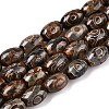 Natural Tibetan Agate 3-Eye Beads Strands G-T138-195A-4