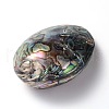Oval Natural Paua Shell Beads SSHEL-F0008-01-3
