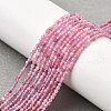 Natural Pink Tourmaline Beads Strands G-N342-33A-5
