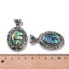 Natural Paua Shell Pendants FIND-A041-01AS-07-3