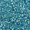 Glass Seed Beads SEED-S042-04A-13-3