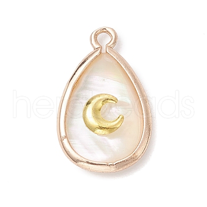 Natural Paua Shell Teardrop Pendants PALLOY-JF03762-01-1
