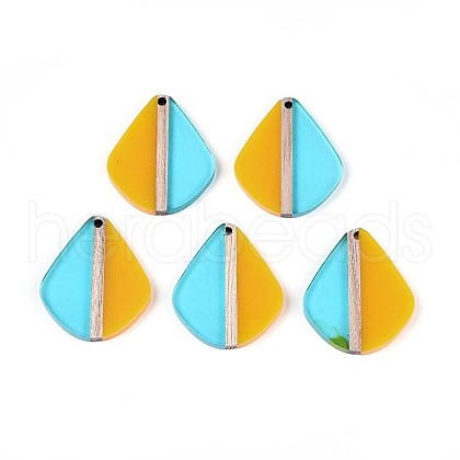 Transaprent Resin & Wood Pendants RESI-T057-83-1