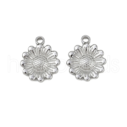 304 Stainless Steel Pendants STAS-D363-06P-1