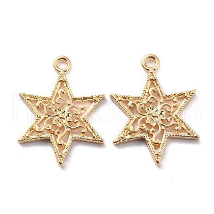 Zinc Alloy Pendants FIND-I017-01G-1