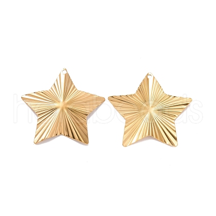 304 Stainless Steel Pendants STAS-A061-06G-1