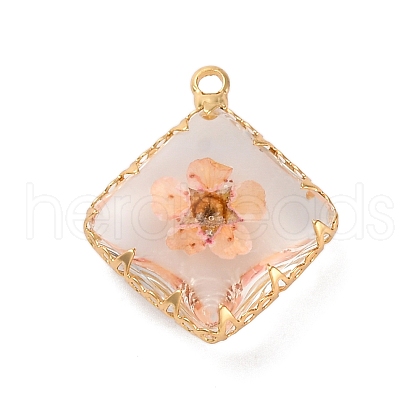 Brass Resin Pendants KK-U042-16G-02-1
