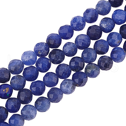 Olycraft 2 Strands Natural Sodalite Beads Strands G-OC0004-85-1