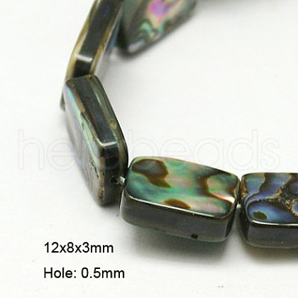Natural Abalone Shell/Paua Shell Beads Strands SSHEL-G003-9-8x12x3mm-1