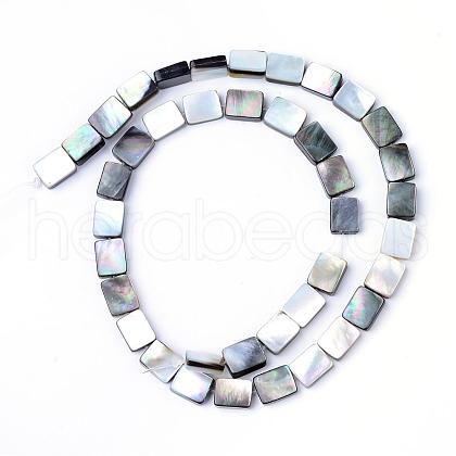 Natural Black Lip Shell Bead Strands SHEL-S249-34-1