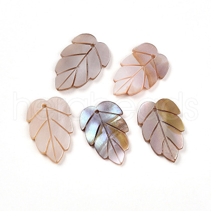 Natural Freshwater Shell Carved Pendants SHEL-N036-18-1