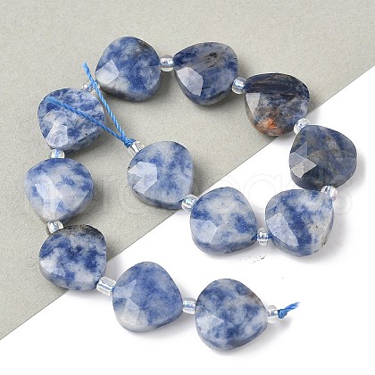 Natural Blue Spot Jasper Beads Strands G-D316-A04-1