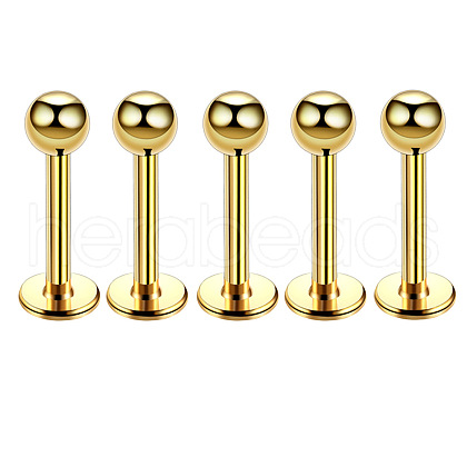 304 Stainless Steel Round Internally Threaded Labrets for Women Men WG9B6EB-24-1