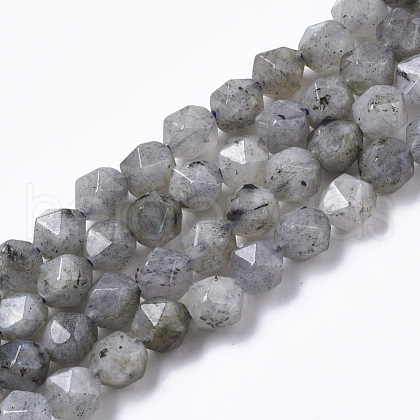 Natural Labradorite Beads Strands G-R465-33A-1