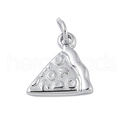 304 Stainless Steel Charms STAS-M120-02B-P-1