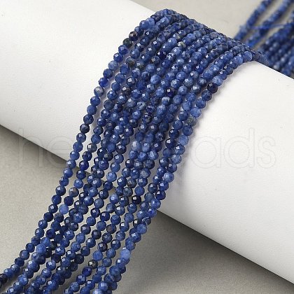 Natural Sodalite Beads Strands G-D306-A01-2mm-B-1
