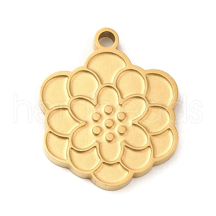Ion Plating(IP) 304 Stainless Steel Pendants STAS-Q301-31G-1