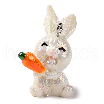 Animal Theme Resin Pendants RESI-S010-04G-1