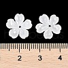 Natural White Shell Carved Beads SSHEL-I026-12D-05-3