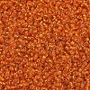 MIYUKI Round Rocailles Beads SEED-G007-RR0009-3