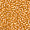 TOHO Round Seed Beads X-SEED-TR11-0955-2