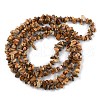 Natural Picture Jasper Beads Strands G-G0003-B16-3