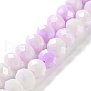 Electroplate Handmade Lampwork Beads Strands LAMP-S068-02A-1