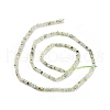 Natural Prehnite Beads Strands G-E194-06-3