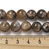 Natural Black Moonstone Beads Strands G-Q183-A01-02-5