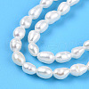 Natural Cultured Freshwater Pearl Beads Strands PEAR-N012-03P-01-4