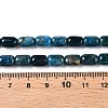 Natural Apatite Beads Strands G-G980-51A-5