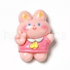 Cartoon Opaque Resin Cabochons RESI-C030-02D-1