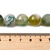 Natural Green Cherry Blossom Agate Beads Strands G-NH0061-A01-12mm-5