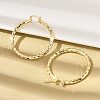 Brass Hoop Earrings EJEW-B117-06E-G-2