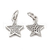 Brass Micro Pave Cubic Zirconia Charms KK-E068-VB247-1