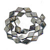 Dyed Natural Freshwater Shell Beads Strands SHEL-T020-13M-2