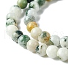 Natural Tree Agate Beads Strands X-G-K194-6mm-02-4