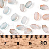 Frosted Glass Seed Beads SEED-N008-05H-4