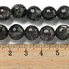 Natural Larvikite Beads Strands G-E571-A09-03-5