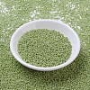MIYUKI Round Rocailles Beads X-SEED-G007-RR0439-2