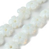 Opalite Beads Strands G-H023-B15-01-1