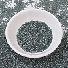 MIYUKI Delica Beads SEED-J020-DB0697-2