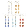 Glass Beaded Tassel Dangle Earrings with 304 Stainless Steel Pins EJEW-JE05334-1