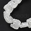 Handmade Lampwork Beads Strands LAMP-L078-010I-3