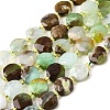 Natural Serpentine Beads Strands G-B094-A33-01-2