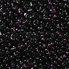 Spray Painted Glass Seed Beads SEED-F005-10A-03-3
